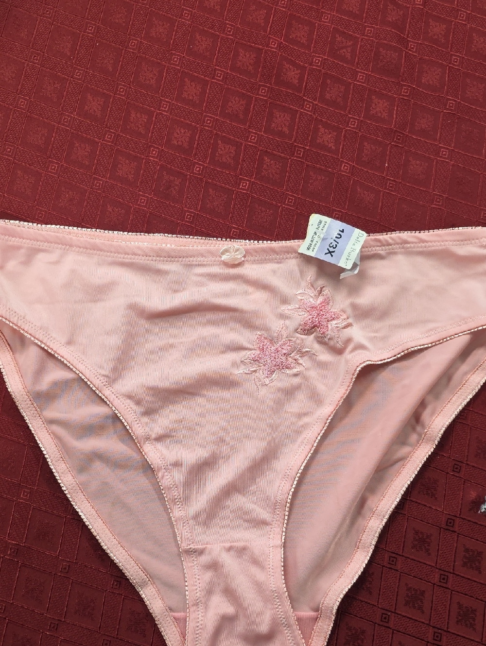 Delta Burke Light Pink Bikini Panty with Floral Applique
